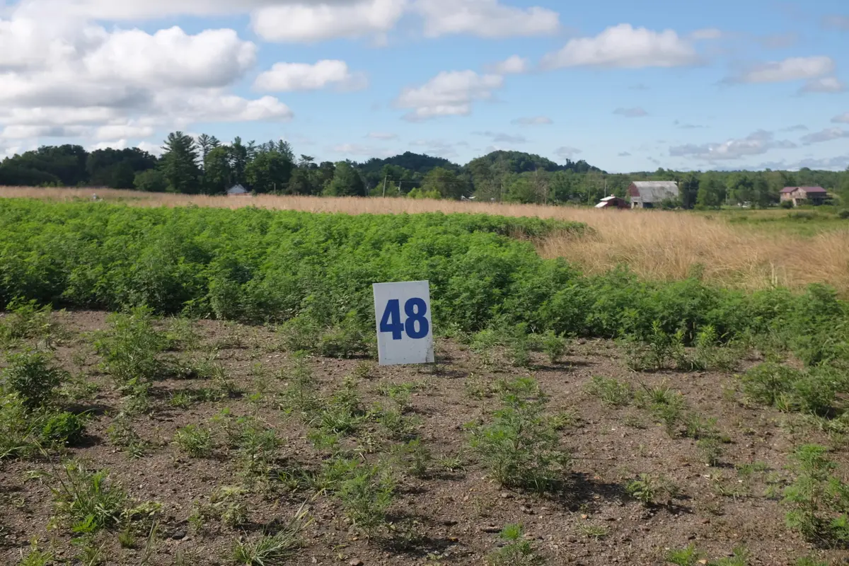 48 Bull Run, East Bernstadt, KY 40729 - #1