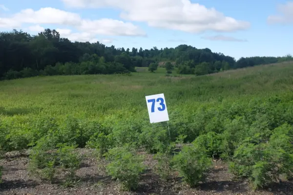 73 Bull Run, East Bernstadt, KY 40729