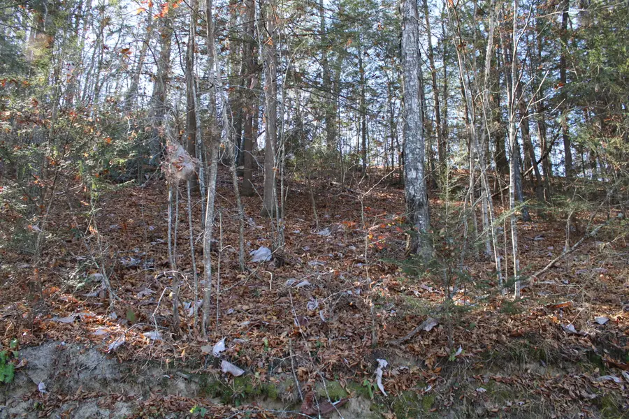 1265 Lake Road, London, KY 40741 - #3