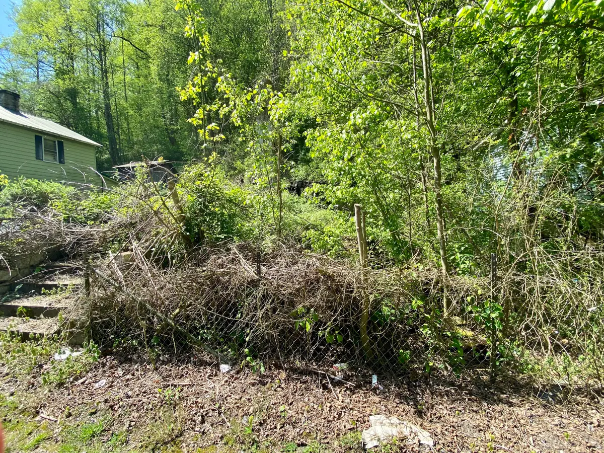 0 Shop Branch Road, Wayland, KY 41666 - #1