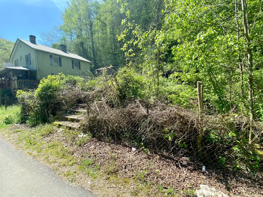 0 Shop Branch Road, Wayland, KY 41666 - #2