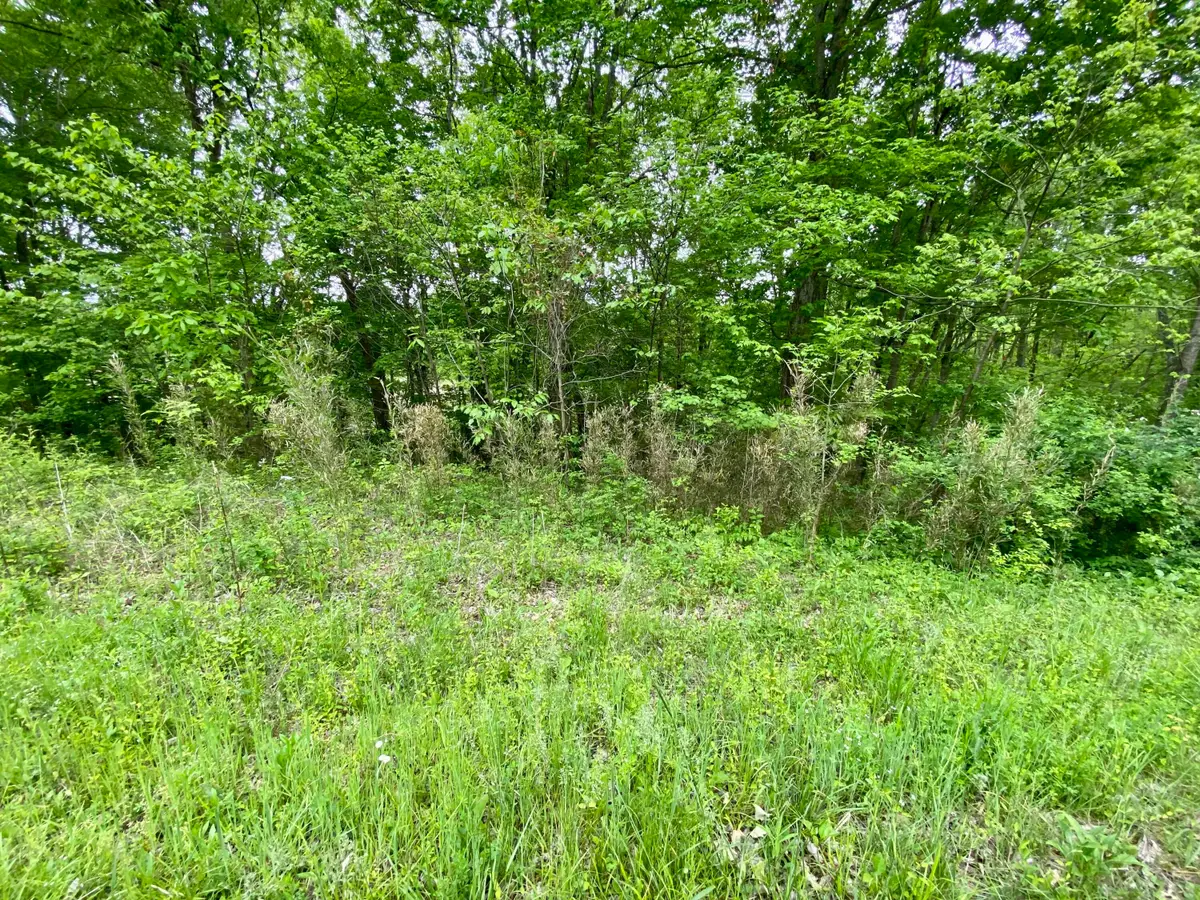 76 Lafayette Road, Caneyville, KY 42721 - #1