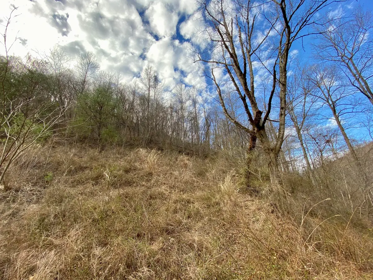 1344 Potato Branch Road, Topmost, KY 41862 - #1