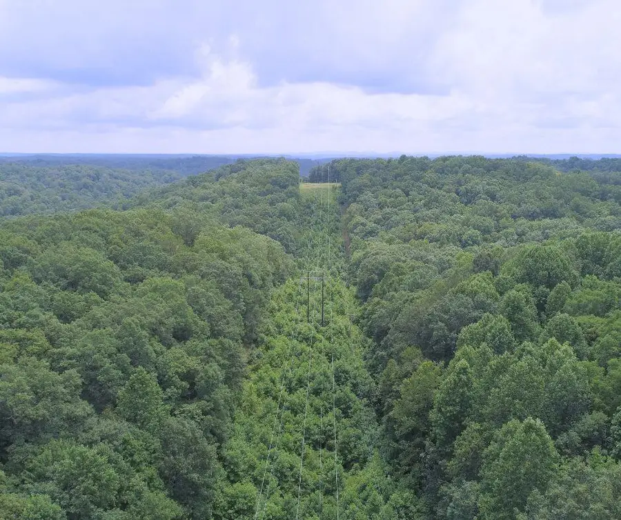 000 London Dock Road, London, KY 40744 - #2