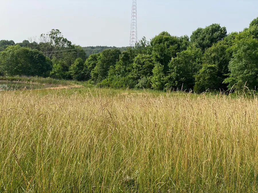 1 W Todd Road, Science Hill, KY 42553 - #3