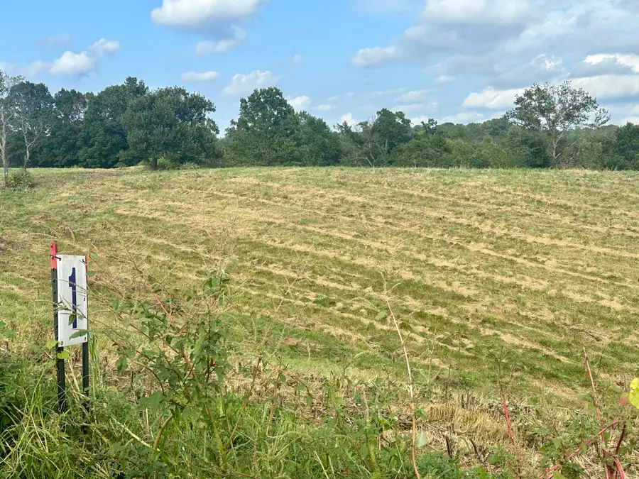 Tract 1 Pittsburg Landing Road, London, KY 40741 - #3