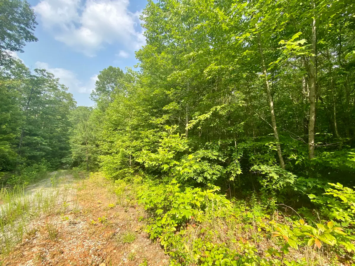 205 Farm House Lane, Miracle, KY 40856 - #1