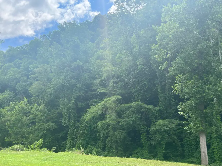 0000 Walnut Lane, Harlan, KY 40831 - #3