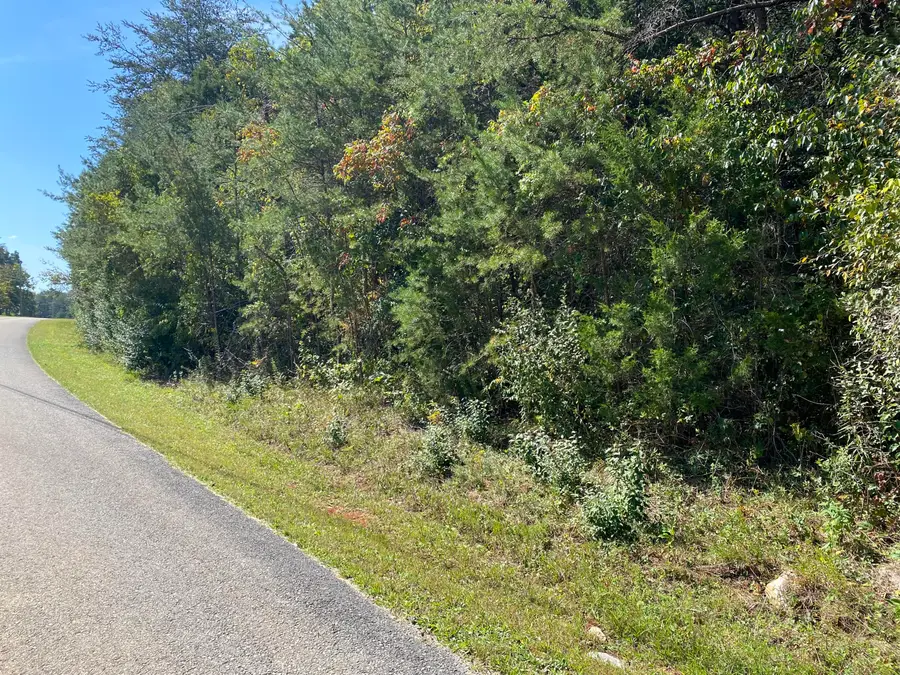 20C Lake Forest Reserve Drive, Bronston, KY 42518 - #3