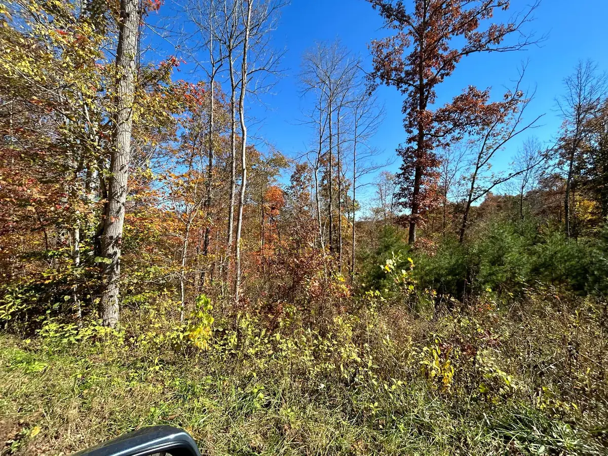 Lot # 7 Buck Creek Circle, Somerset, KY 42501 - #1