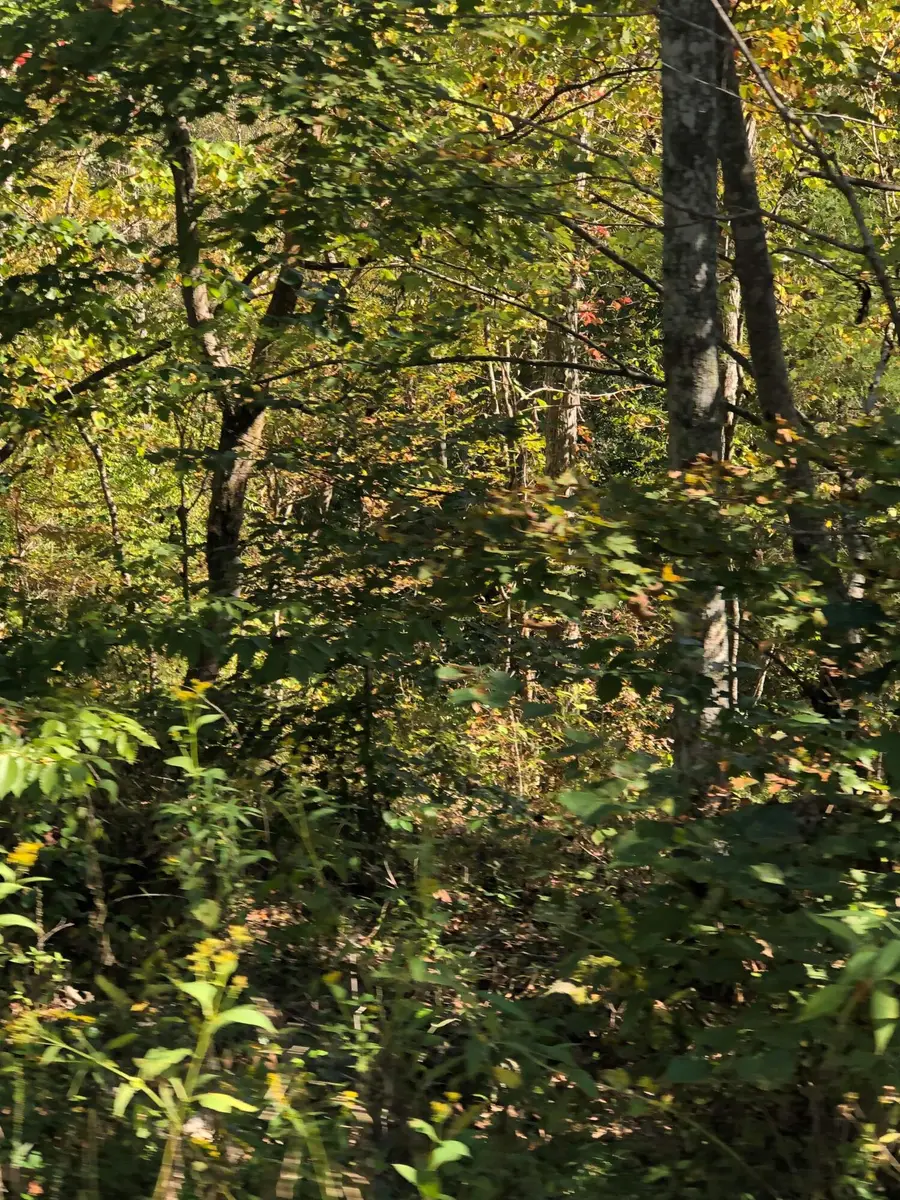 Lot#21 Buck Creek Circle, Somerset, KY 42501 - #3