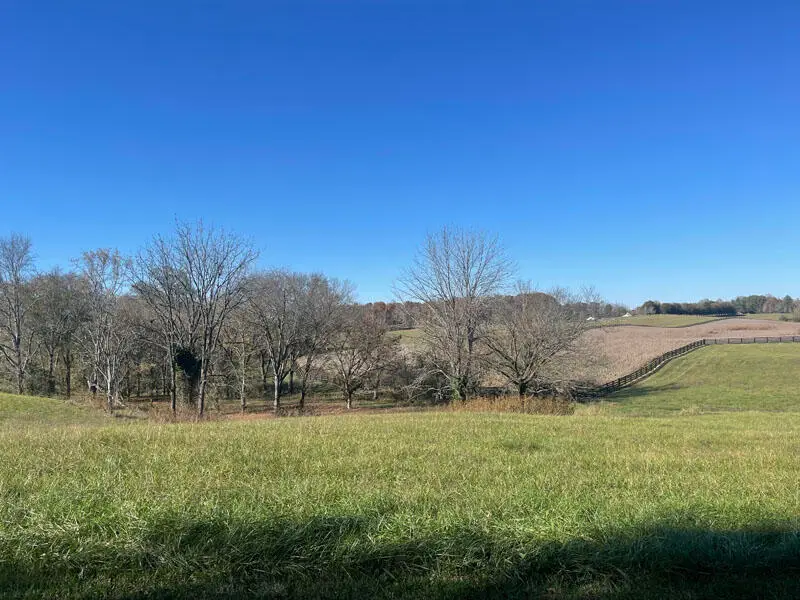 Lot 86 Edgewater, Russell Springs, KY 42642 - #2