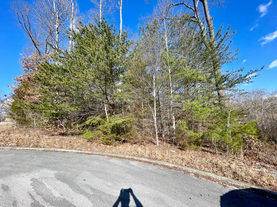 745 Water Cliff Drive, Somerset, KY 42503 - #3