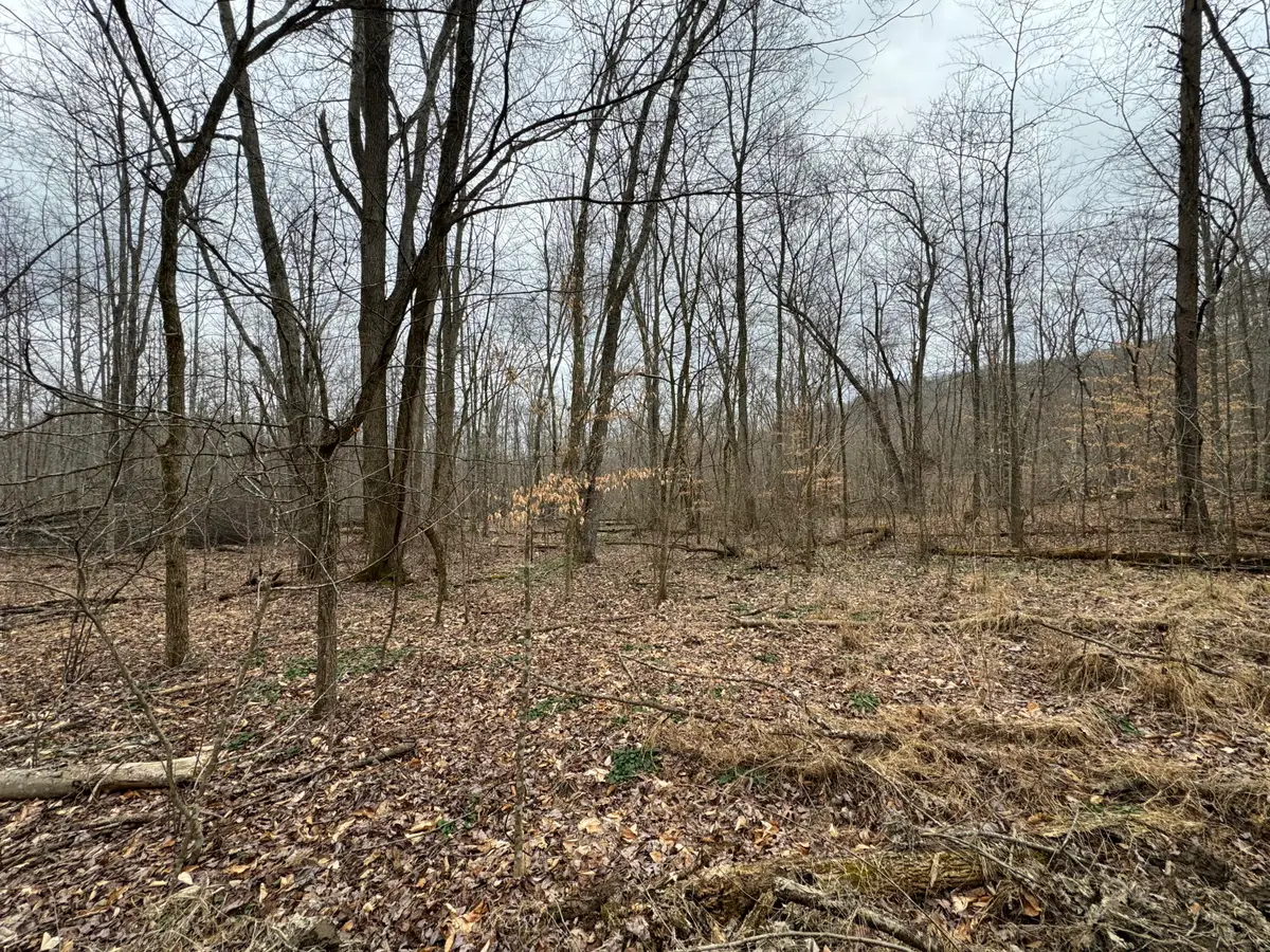 0 Hardwood Road, Hillsboro, KY 41049 - #1