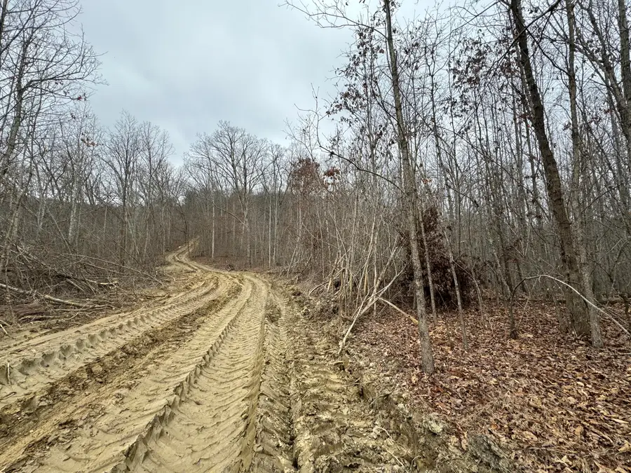 0 Hardwood Road, Hillsboro, KY 41049 - #3