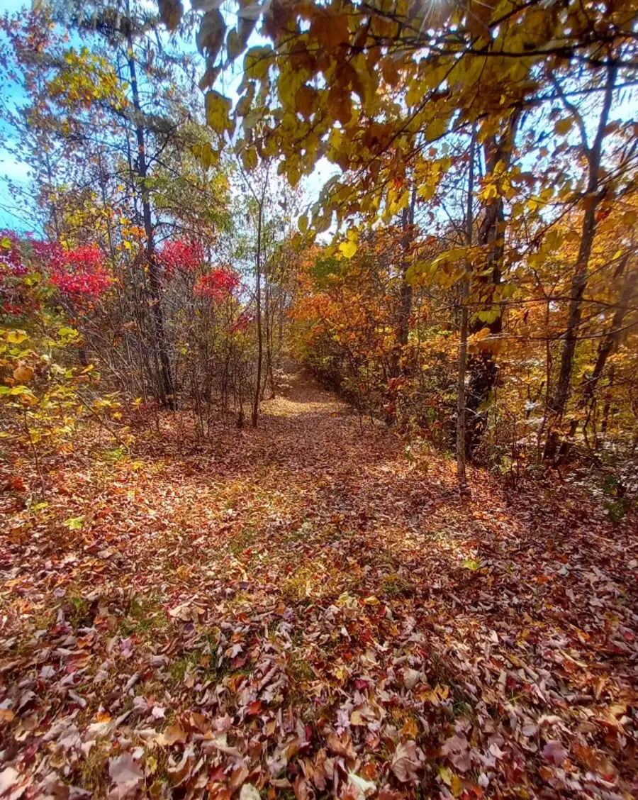 1237F High Rock Road, Stanton, KY 40380 - #3