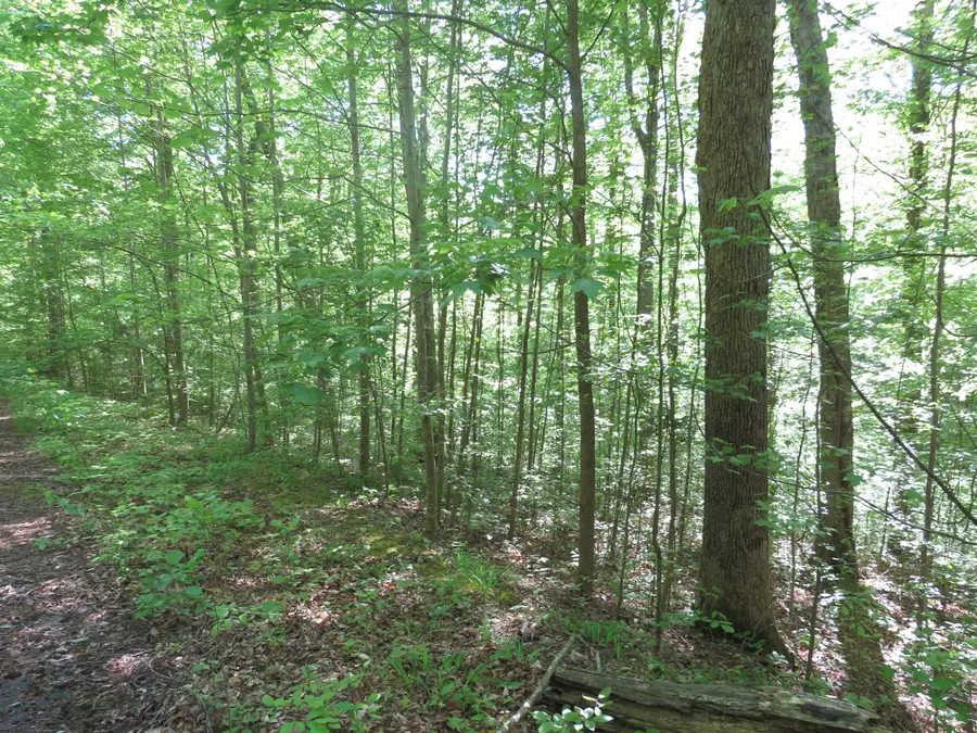 9999 Lots 225,227,228231 Stillwater, Russell Springs, KY 42642 - #3