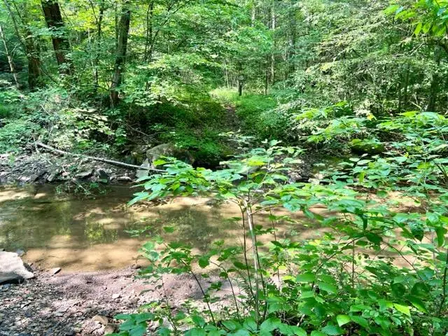 0 Coperas Cave Branch, Beattyville, KY 41311 - #2