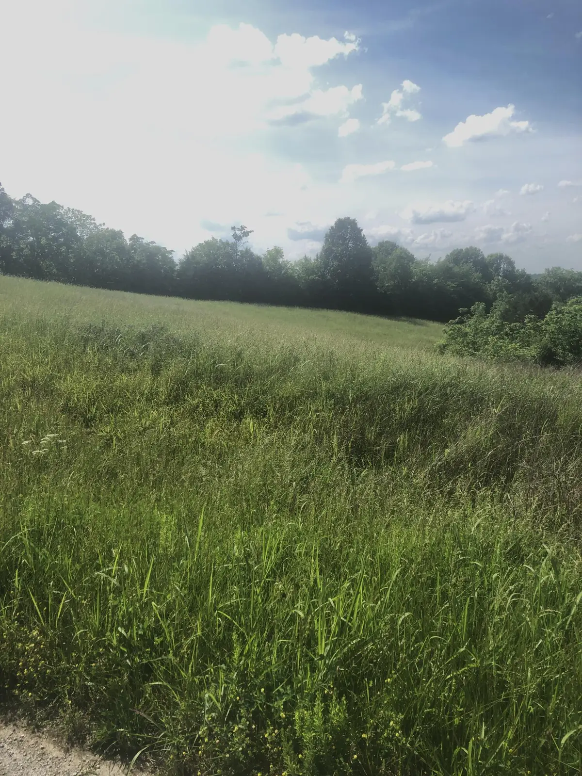 5 S Chowning Lane, Bloomfield, KY 40008 - #1