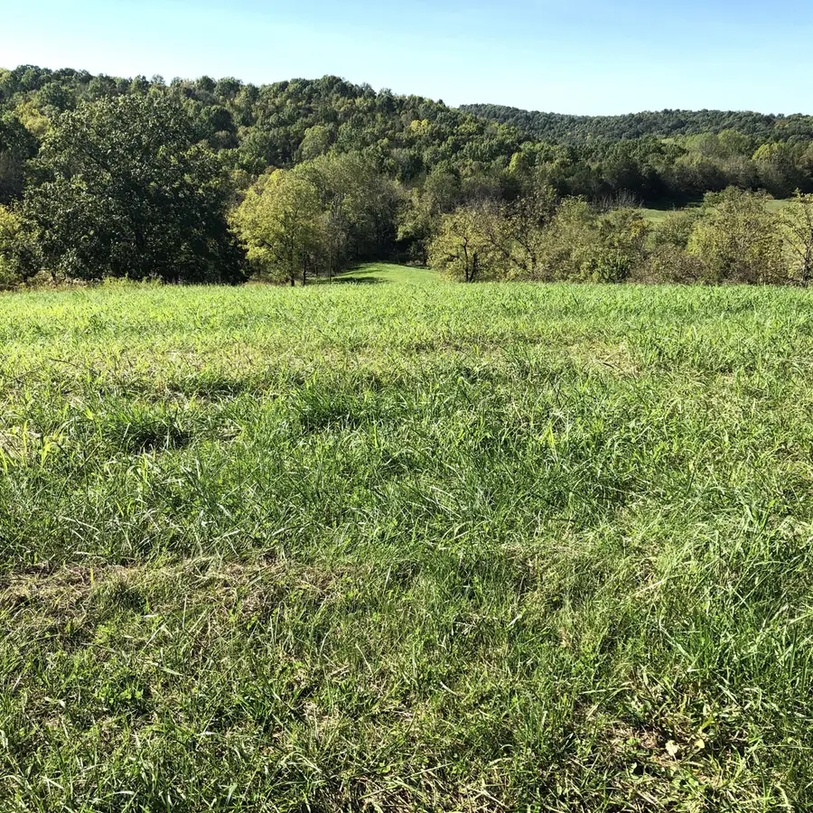 6 S Chowning Lane, Bloomfield, KY 40008 - #3