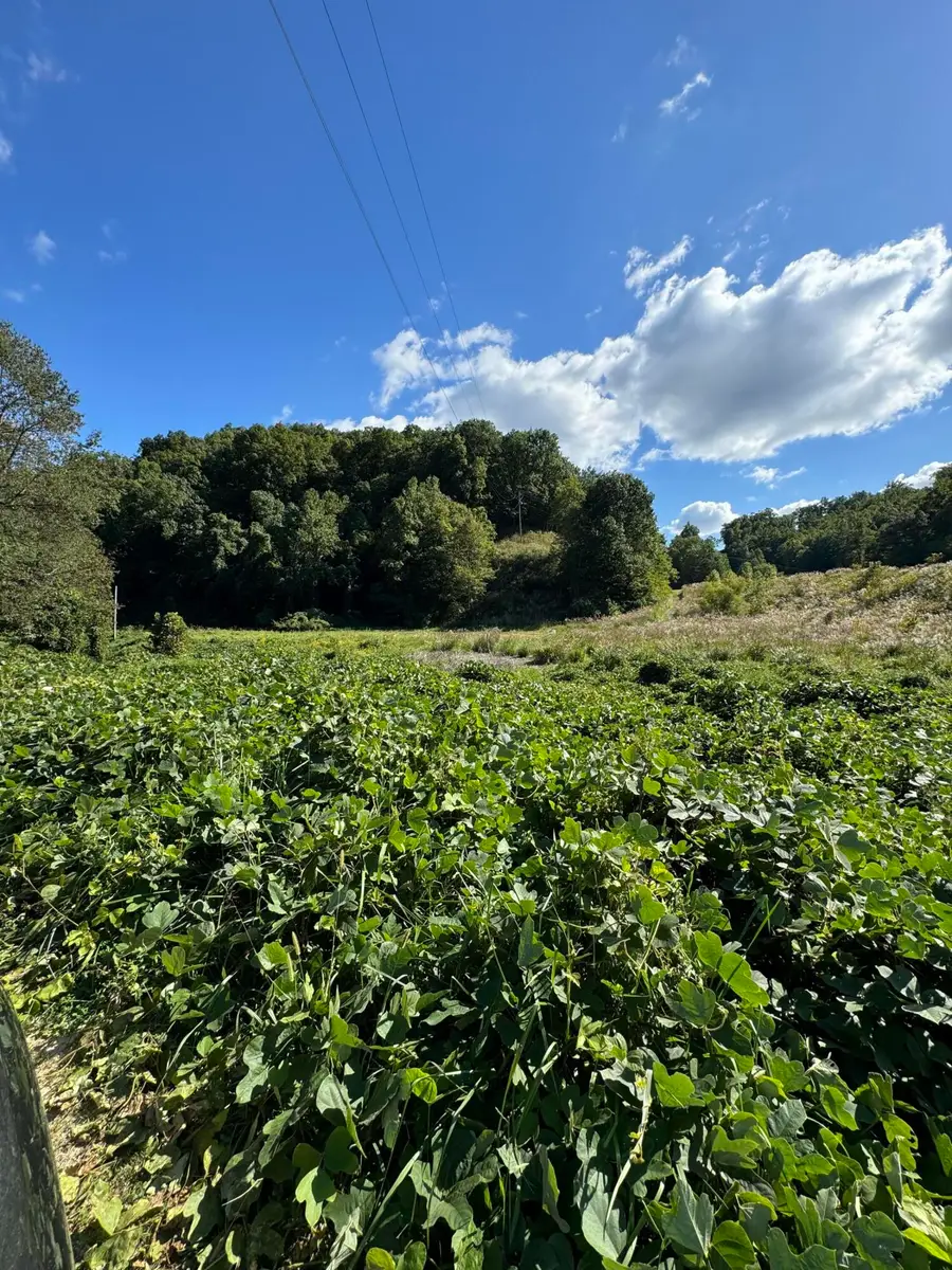 00 Hwy 80, Hazard, KY 41701 - #2