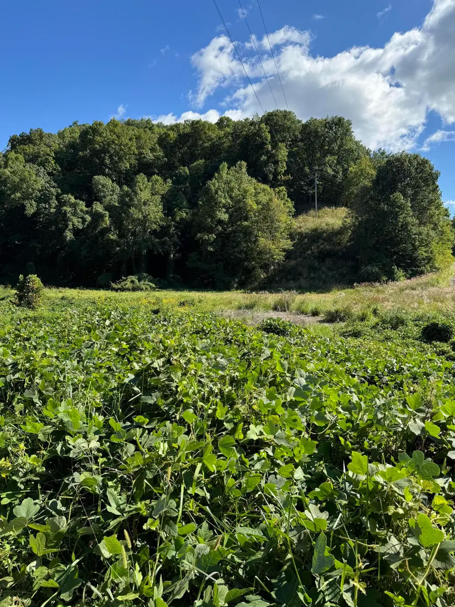 00 Hwy 80, Hazard, KY 41701 - #3