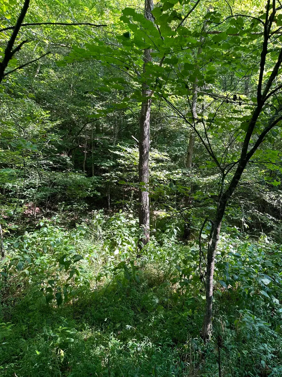9999 Glade Branch, Manchester, KY 40962 - #3