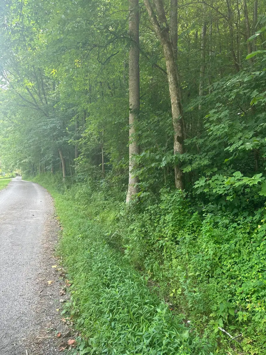 9999 May Fork Road, Manchester, KY 40962 - #2