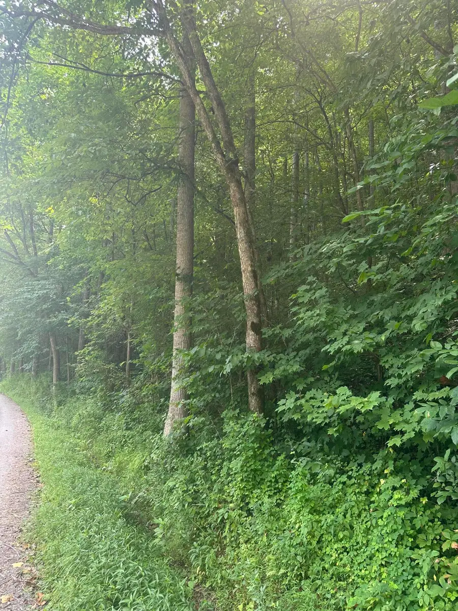 9999 May Fork Road, Manchester, KY 40962 - #3