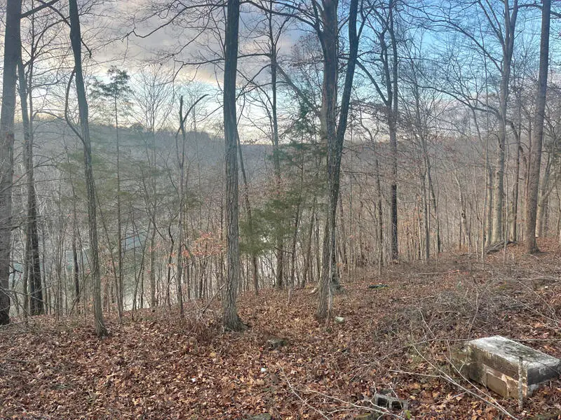 Lot 82 Pleasant View, Nancy, KY 42544 - #3