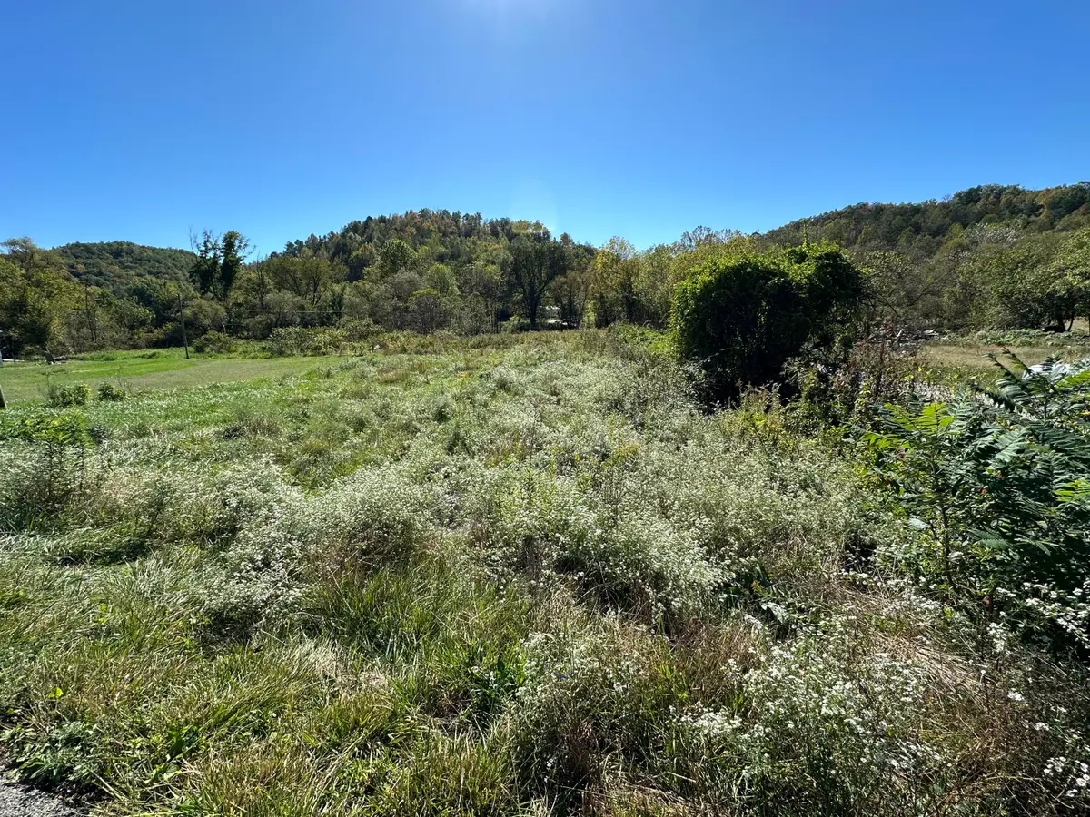 0 Lick Creek Road, Salyersville, KY 41465 - #1