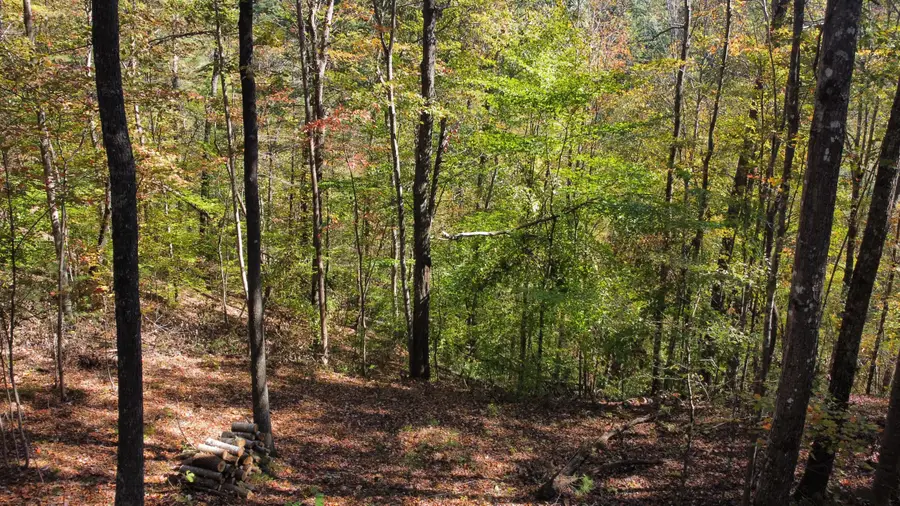 Lot #51 The Reserve At Cliffview, Zoe, KY 41397 - #2