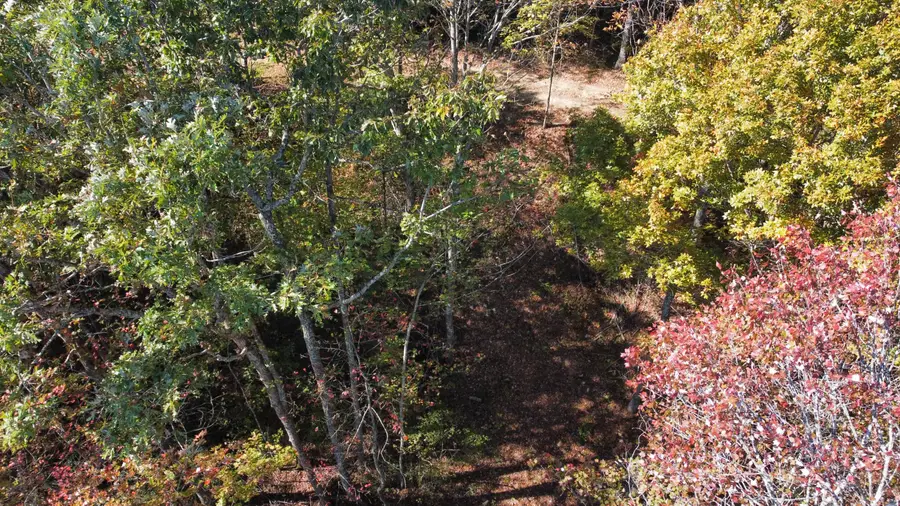 Lot #51 The Reserve At Cliffview, Zoe, KY 41397 - #3