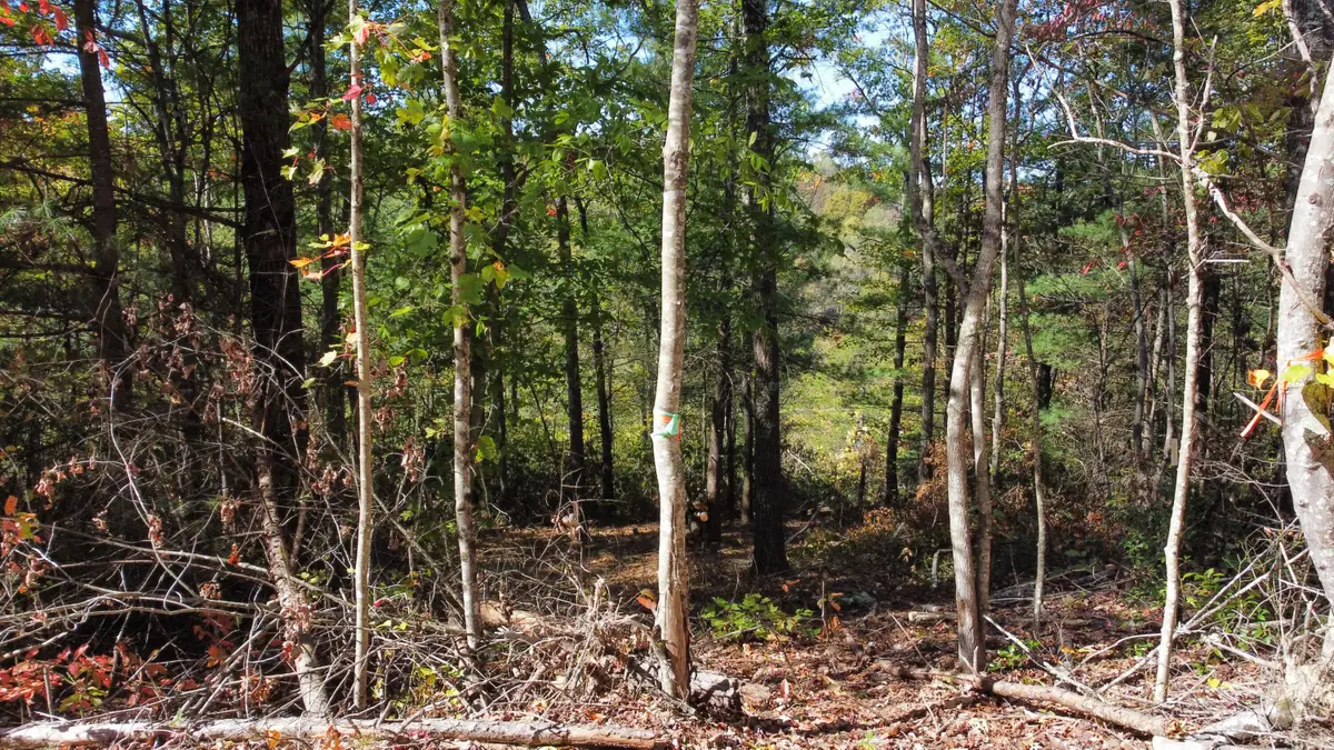 Lot #47 The Reserve At Cliffview, Zoe, KY 41397 - #1