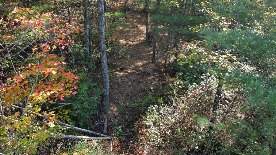 Lot #47 The Reserve At Cliffview, Zoe, KY 41397 - #3