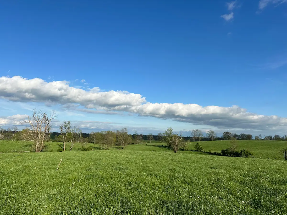 3451 Cynthiana Road, Georgetown, KY 40324 - #1