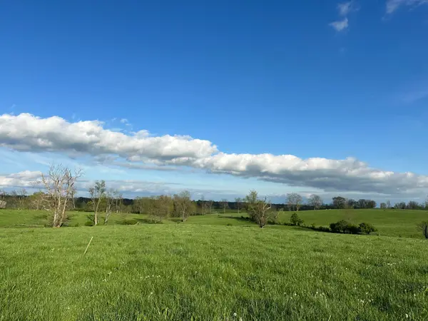3451 Cynthiana Road, Georgetown, KY 40324