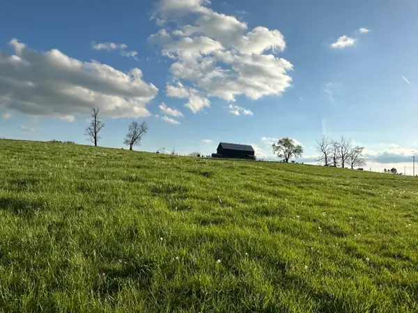 3523 Cynthiana Road, Georgetown, KY 40324