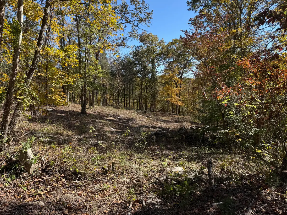 Lot# 36 Buck Creek Circle, Somerset, KY 42501 - #1