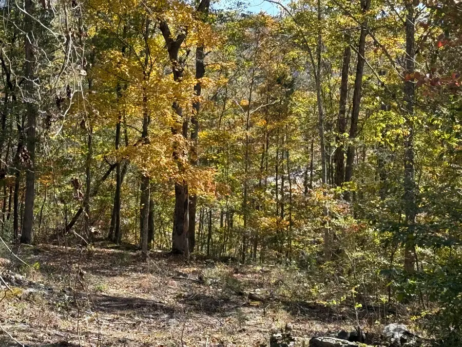 Lot# 36 Buck Creek Circle, Somerset, KY 42501 - #2