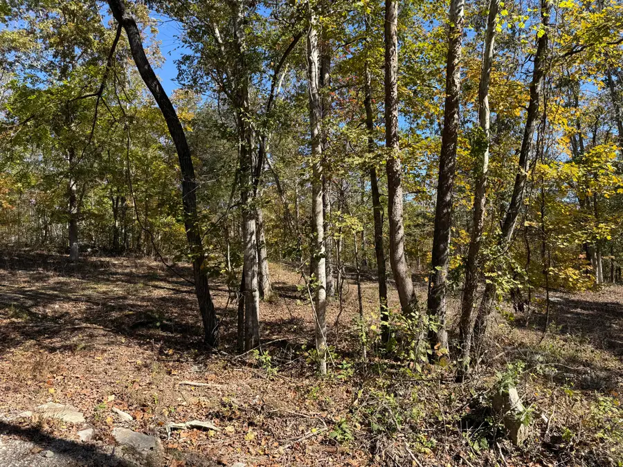 Lot# 36 Buck Creek Circle, Somerset, KY 42501 - #3