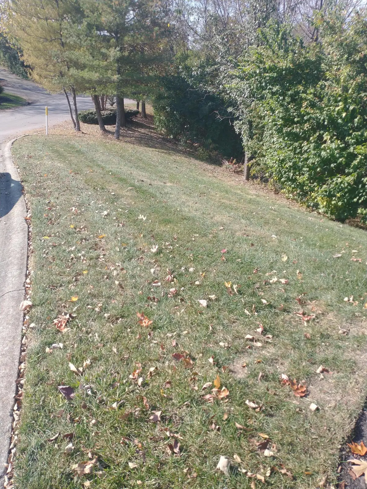 102 Augusta Drive, Winchester, KY 40391 - #1