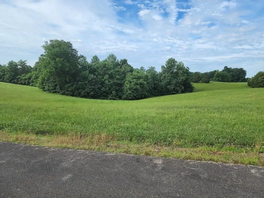Lot 18 Acadia Drive, Russell Springs, KY 42642 - #2