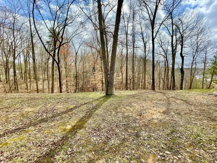 3 Marina Pointe Court, Jamestown, KY 42629 - #1