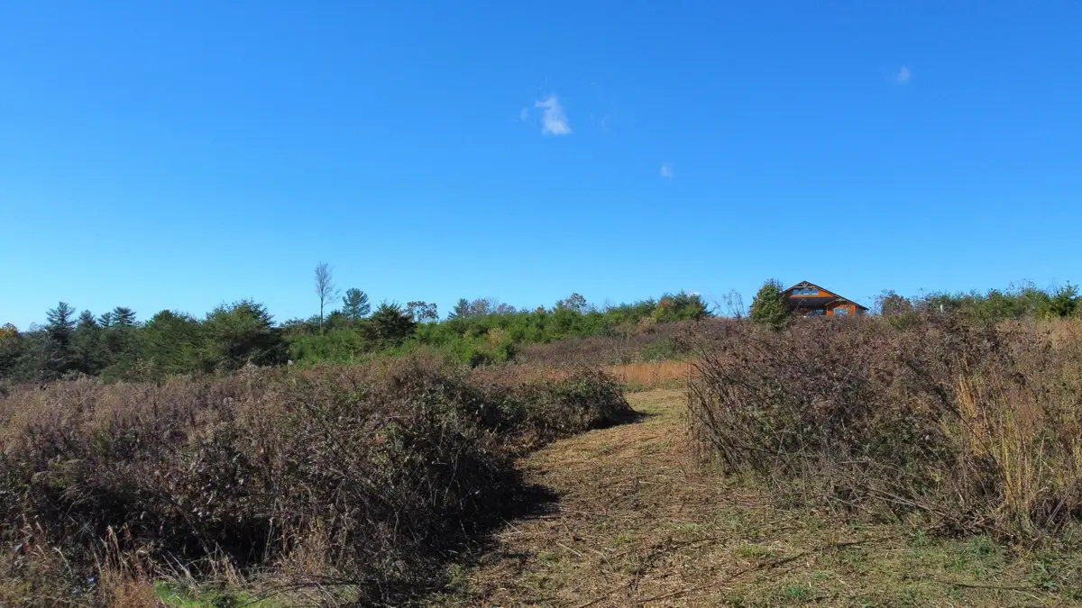 Lot #73 Shawnee Run, Rogers, KY 41365 - #1