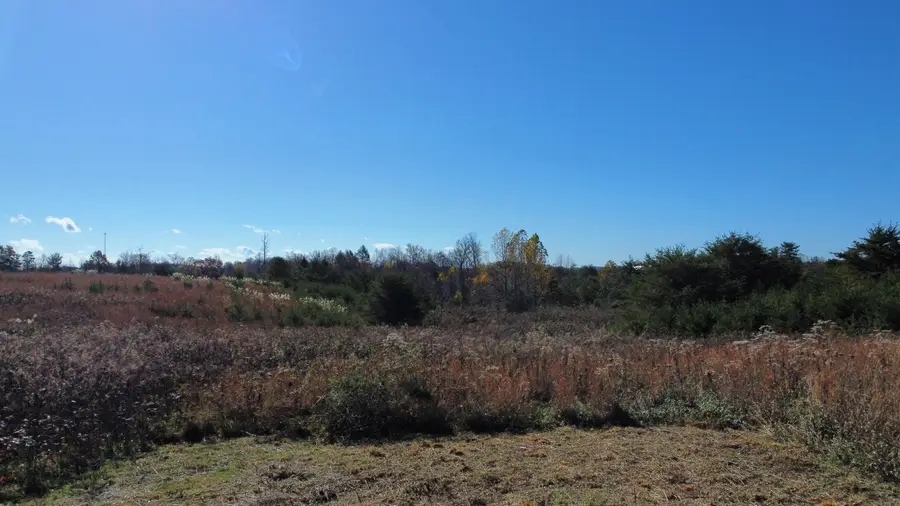 Lot #73 Shawnee Run, Rogers, KY 41365 - #3