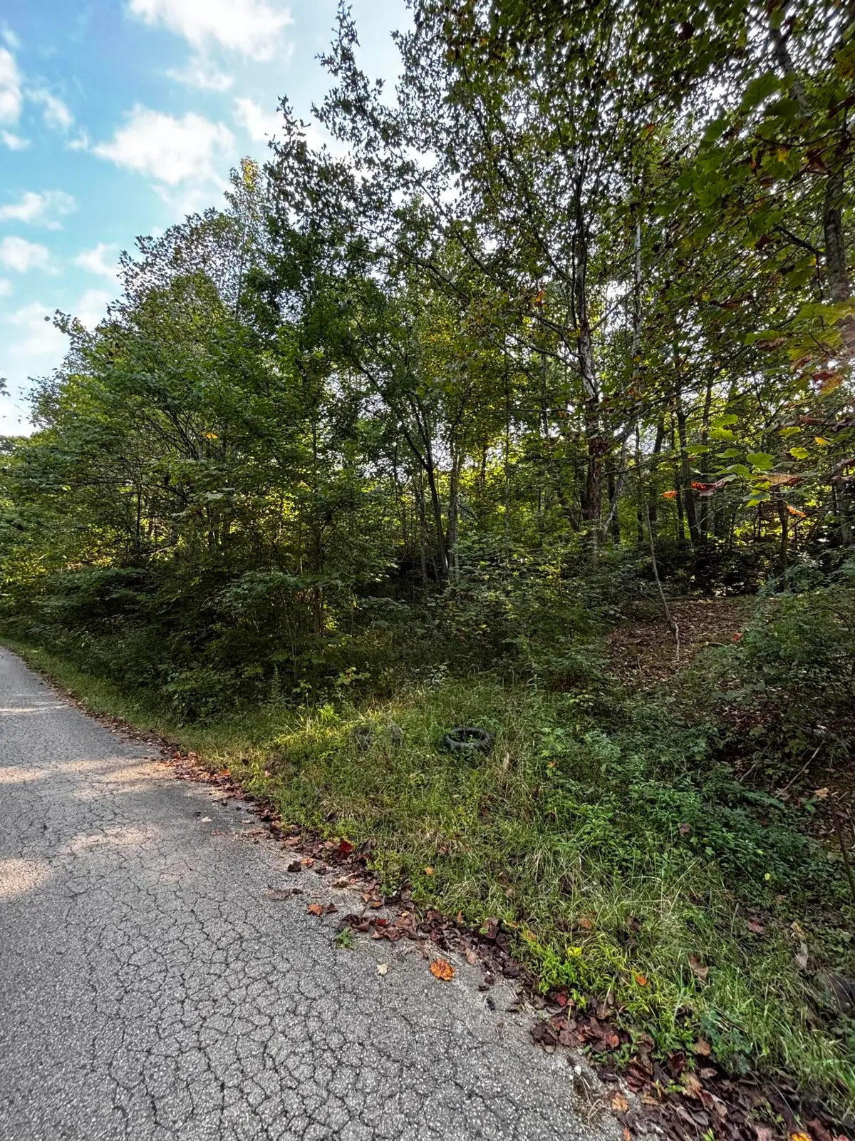 132 Lee Acres Road, Irvine, KY 40336 - #1
