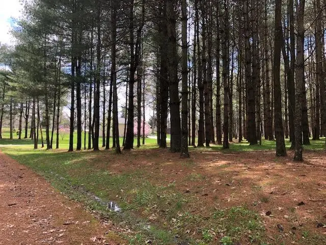 101 Lakeshore Drive, Russell Springs, KY 42642 - #2