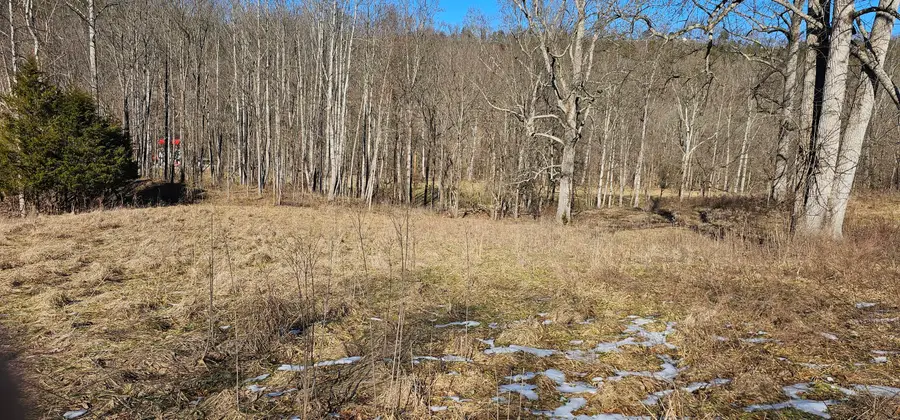 1011 Gilberts Creek Road, Lawrenceburg, KY 40342 - #2