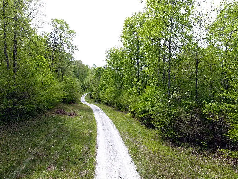 Tract 6 Dogwood Drive, Whitley City, KY 42653 - #2